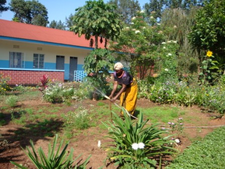 They can even water the garden now